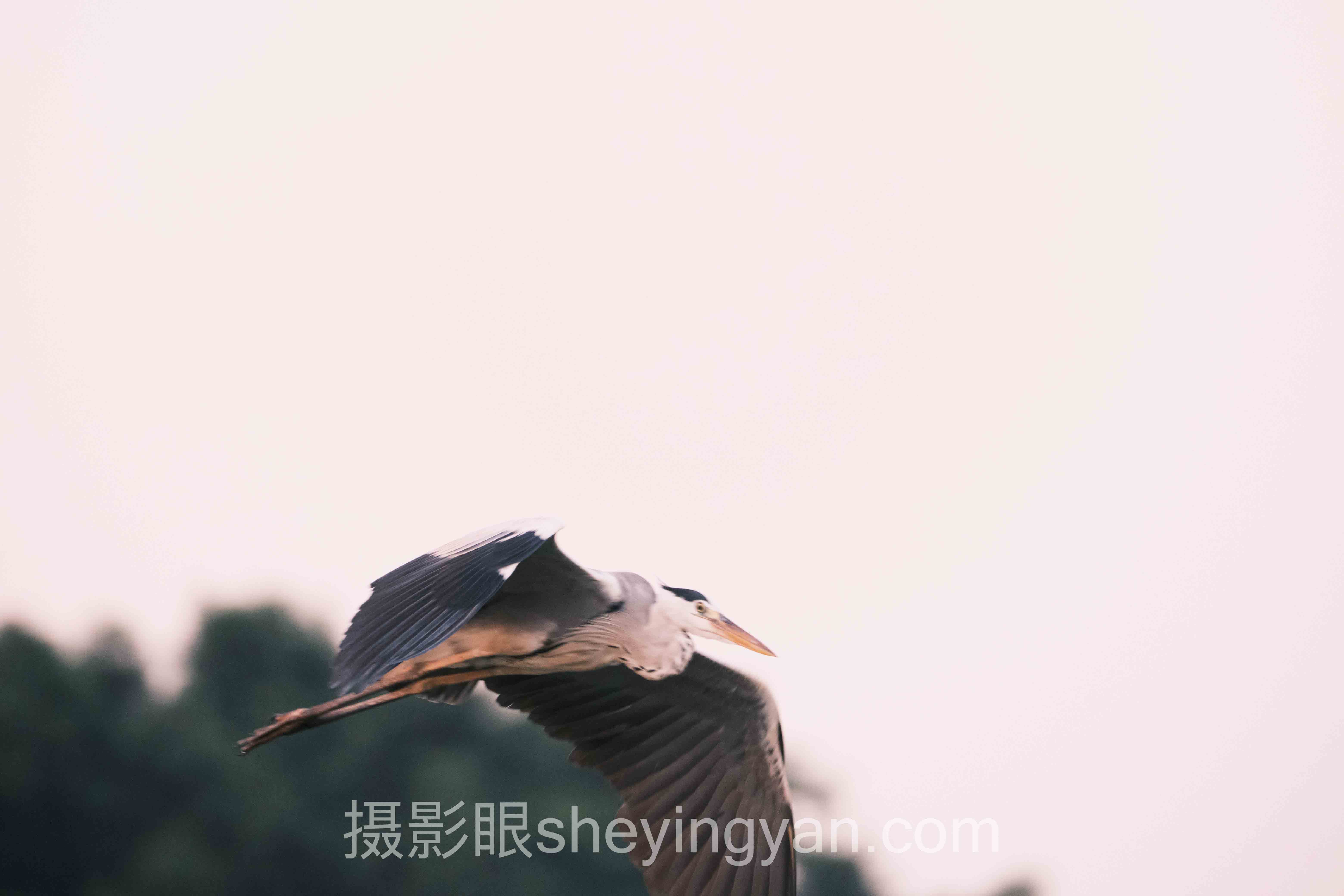 摄影眼平台Instagram摄影师全景解读：问题根源与破局之道