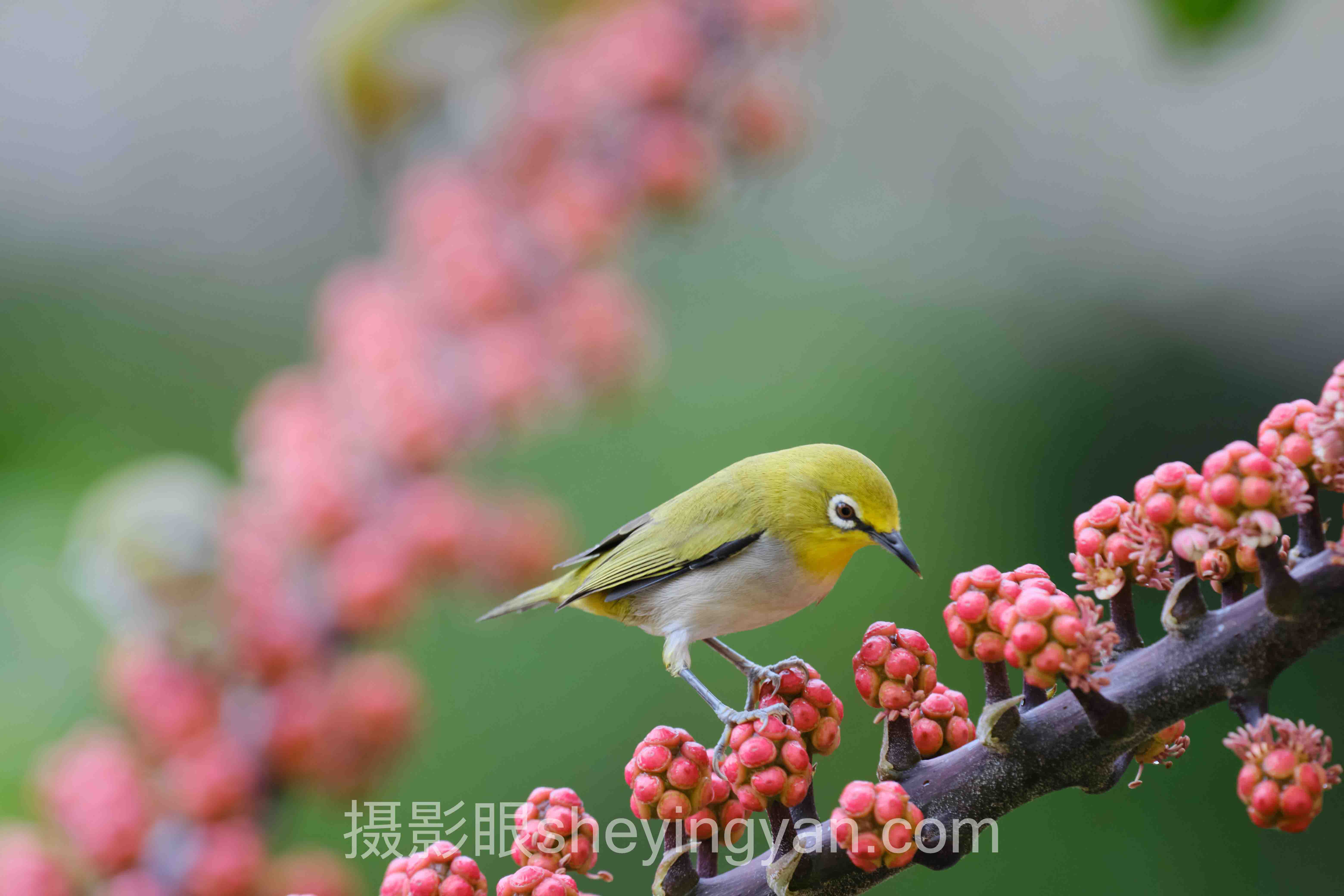 夜景人像技巧避坑指南：5个关键要点全梳理