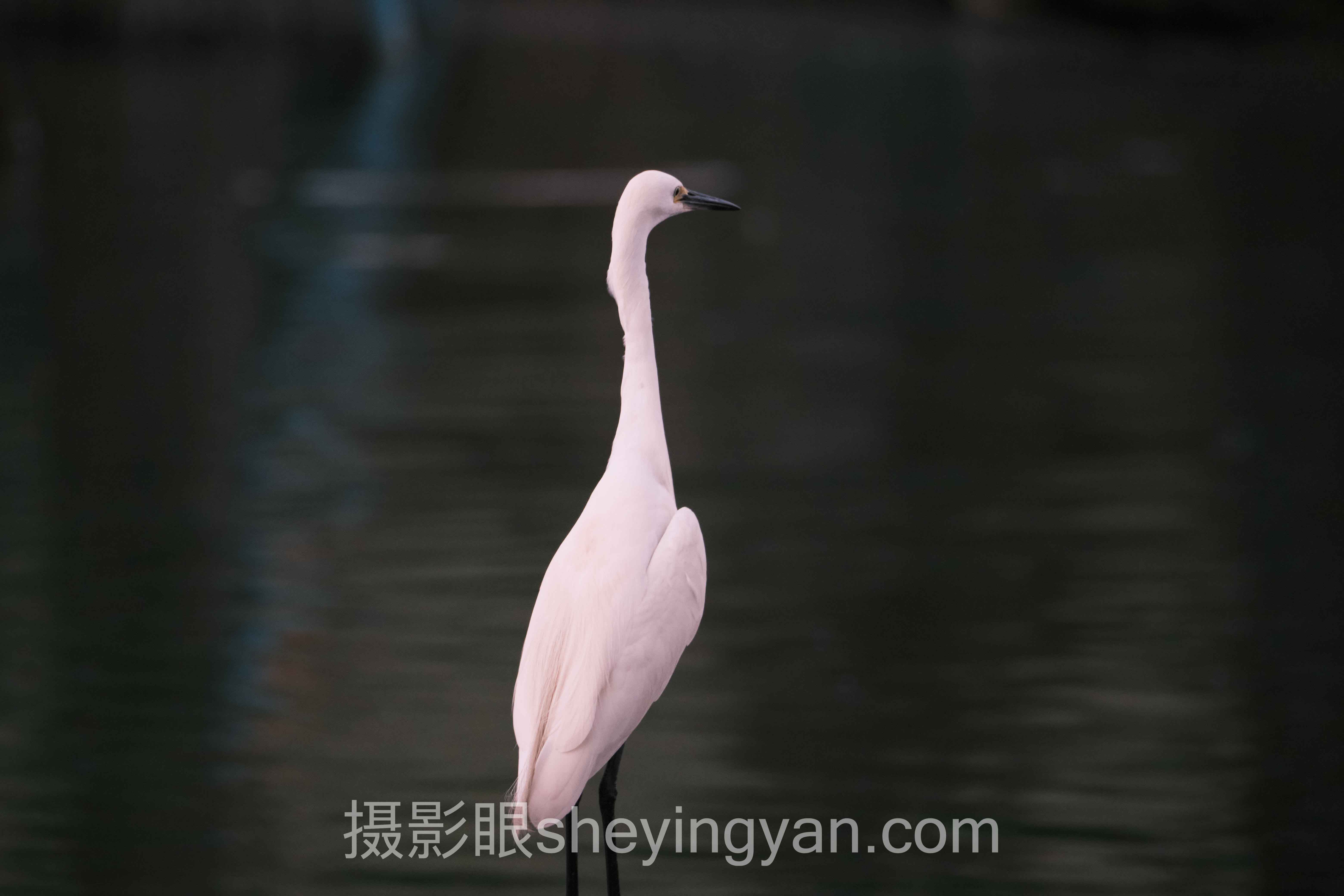 摄影眼平台曝光三要素十人谈：多位专家的核心观点汇总