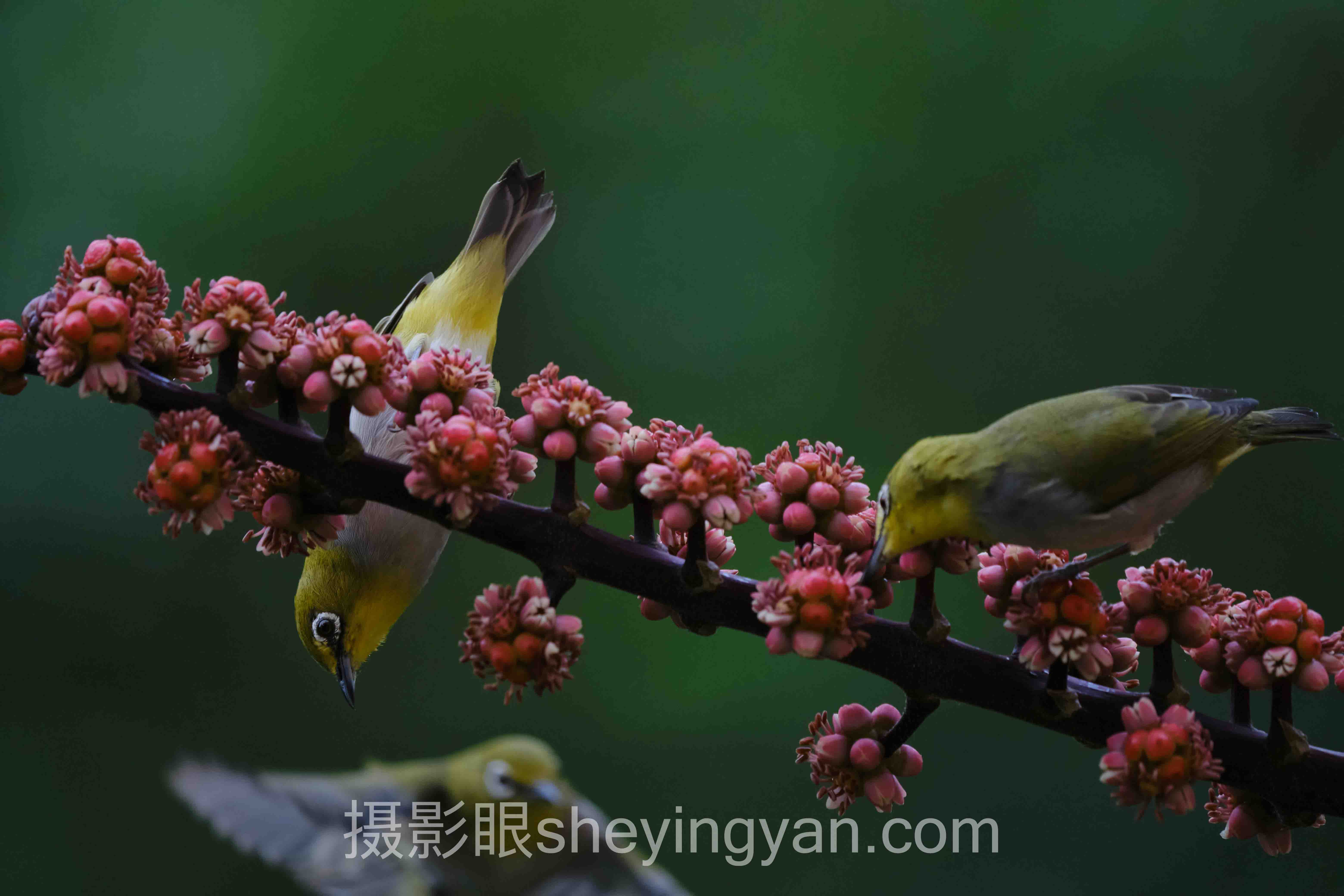 照片4分是什么水平全问答:你想知道的都在这里