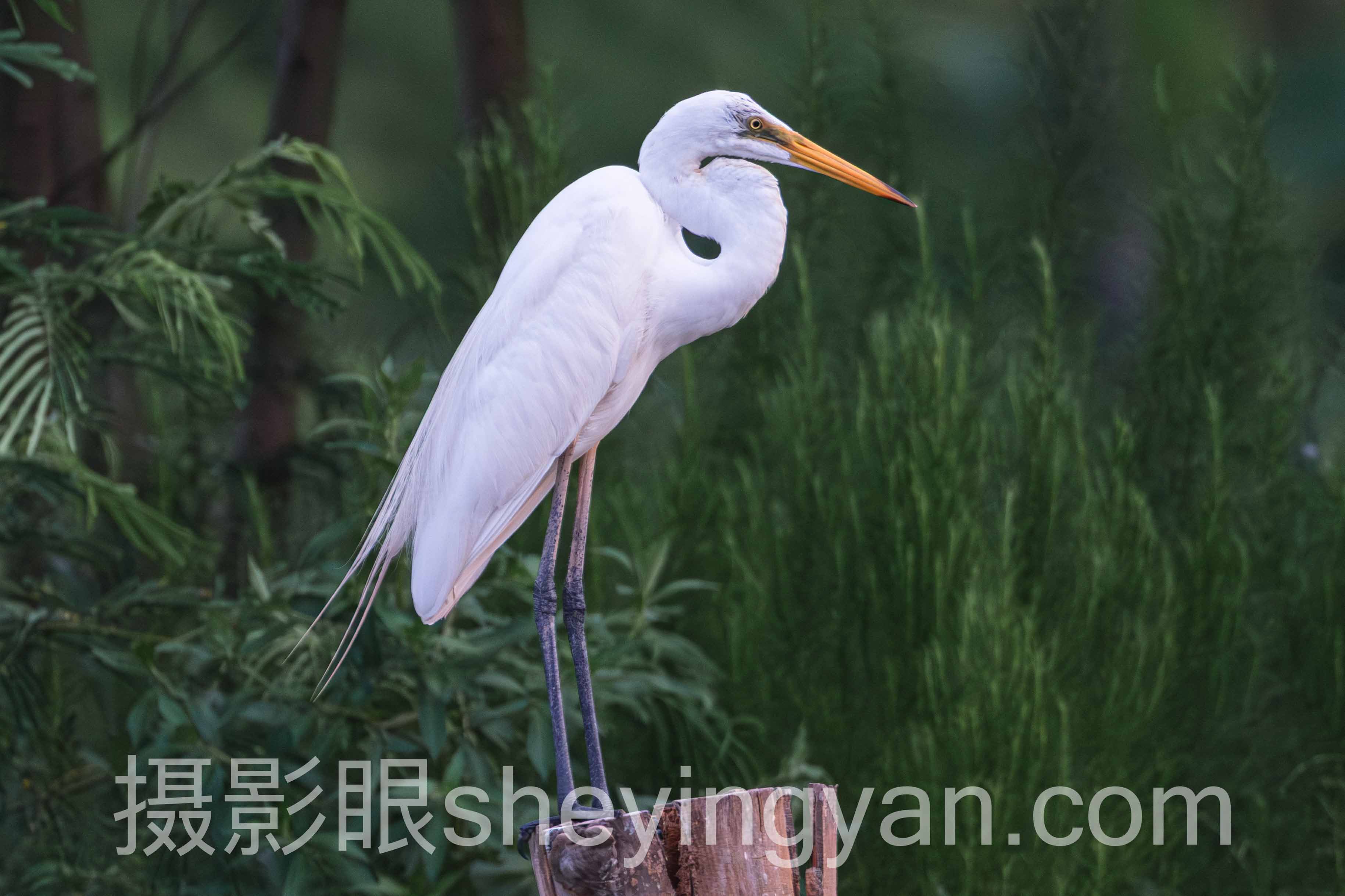 摄影眼是怎么练出来的深度评测：4种训练路径全面解析