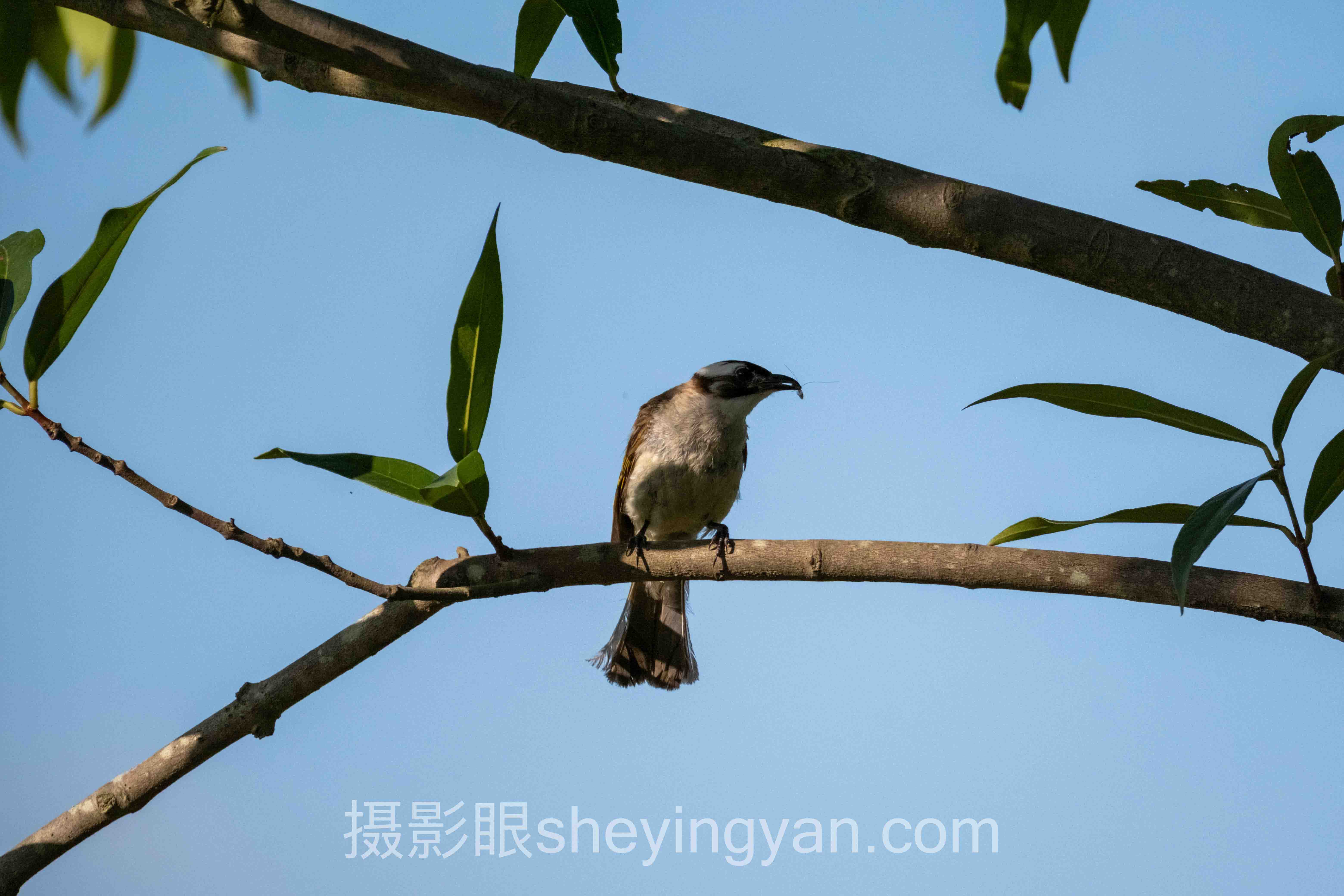 相机防抖效果数据全景：7组实测数据揭示真相