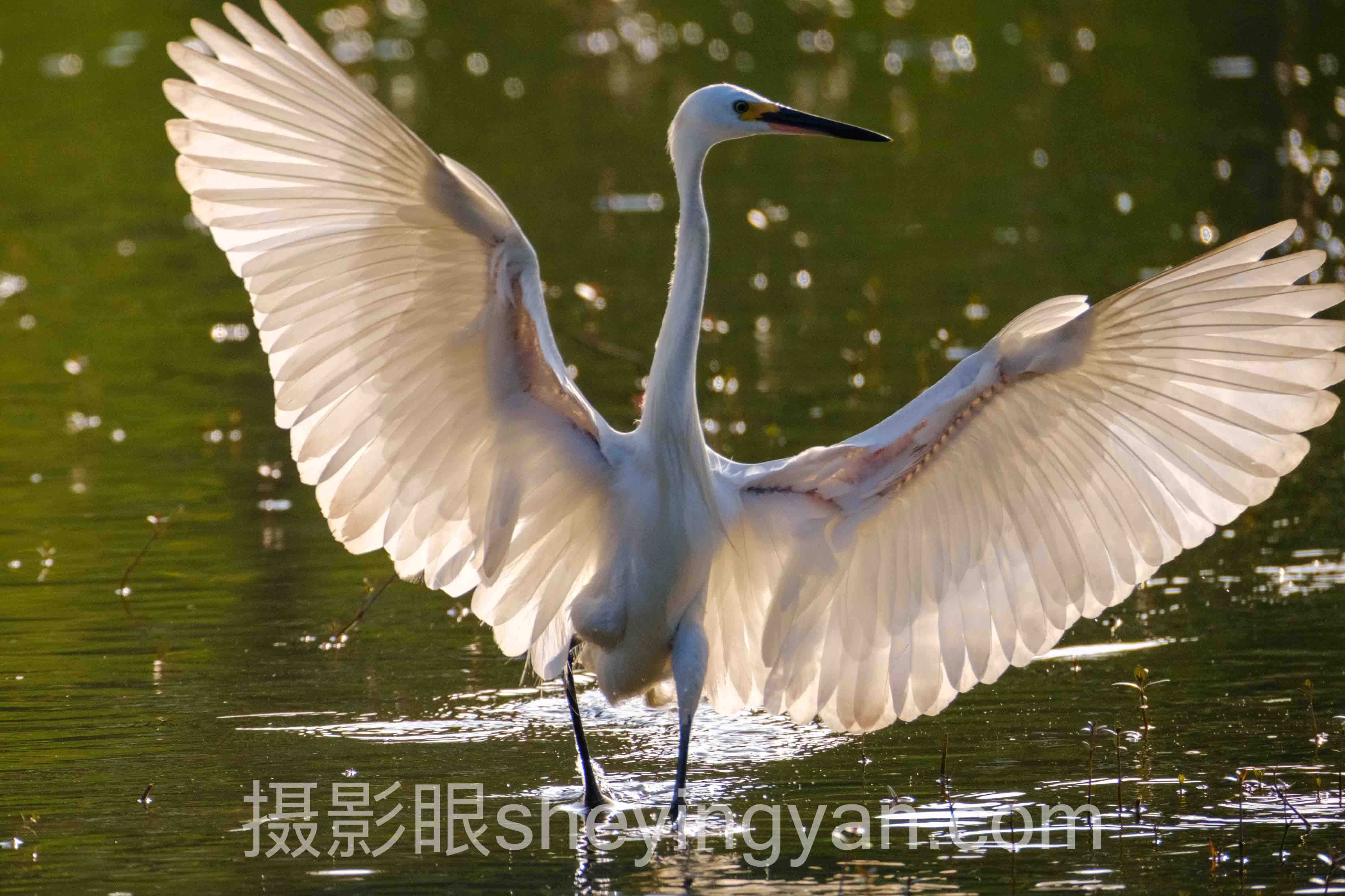 摄影后期培训班多少钱全问答：从0元到2万元，差价在哪